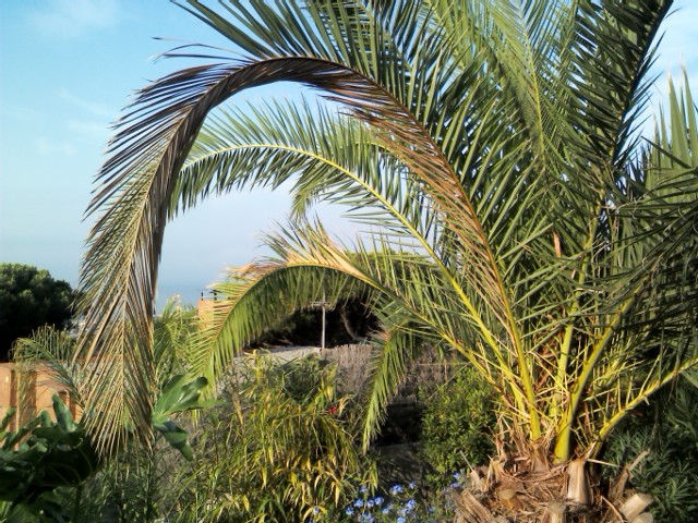 IMG856.jpg