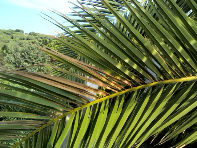 IMG858.jpg