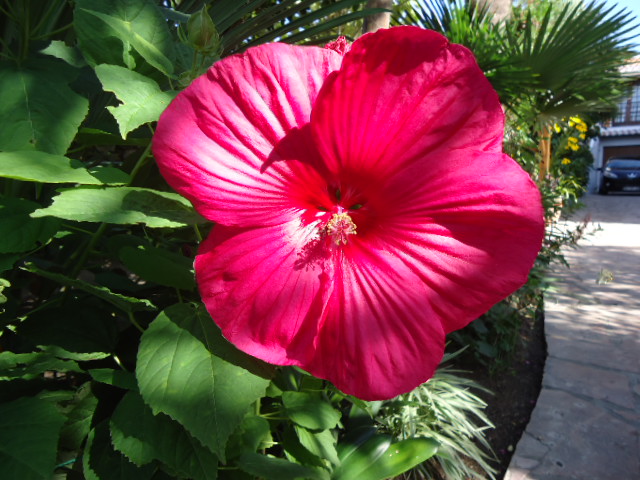 DSC00947.JPG