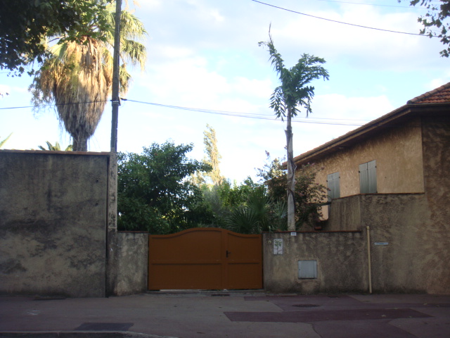 villa caryota 020.jpg
