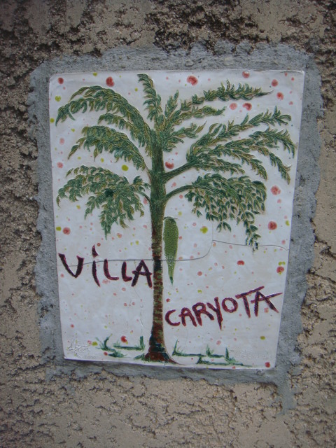 villa caryota 021.jpg