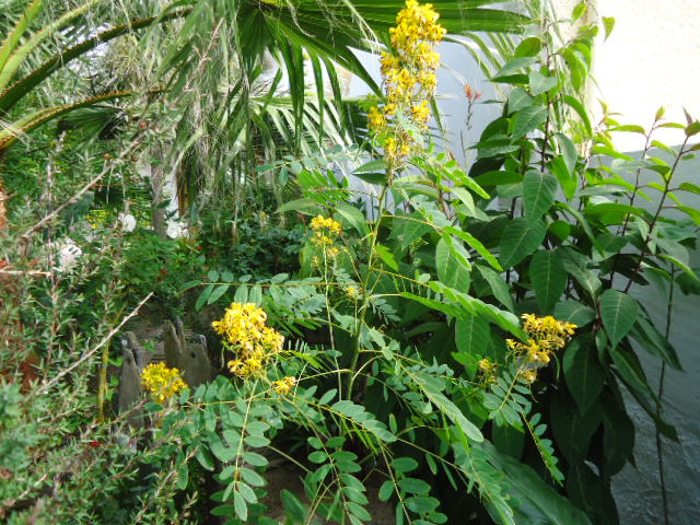 DSC00960.JPG