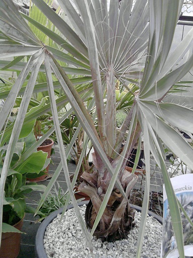 P010912_19.32_[01].jpg