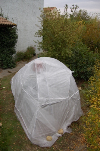 igloo6 (332x500).jpg