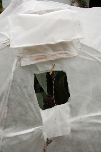 igloo10 (332x500).jpg