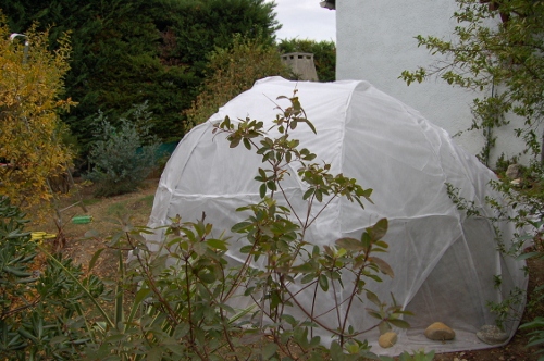 igloo7 (500x332).jpg