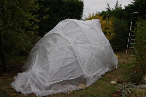 igloo8 (500x332).jpg