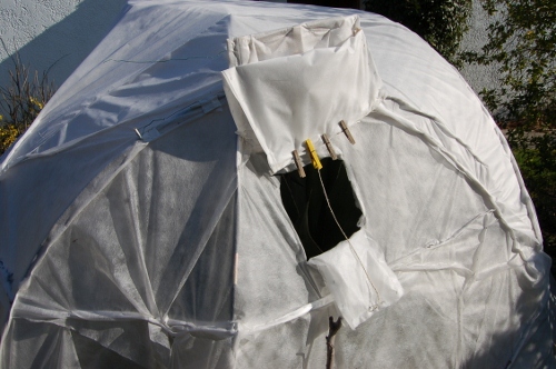 igloo11 (500x332).jpg