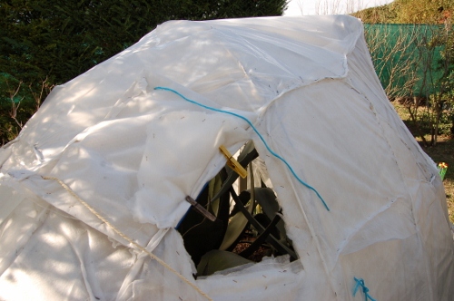 igloo12 (500x332).jpg