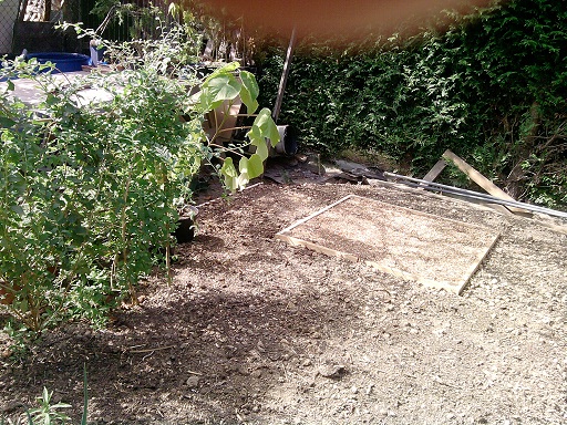 P020912_13.20_[01].jpg