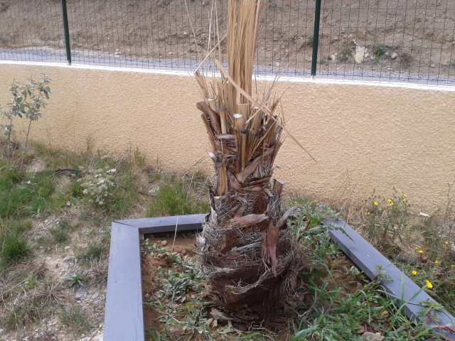 2012-09-03 13.43.21.jpg