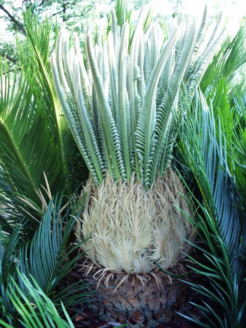 HPIM0954.JPG