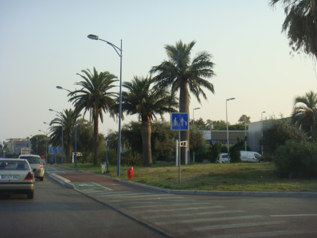 jubea antibes 1.jpg