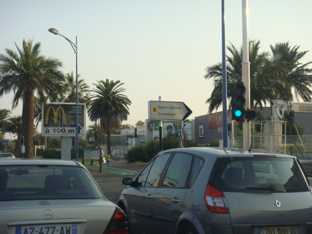 jubea antibes 1 (1).jpg