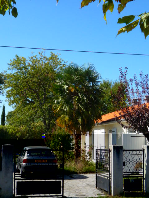 P1000595.JPG