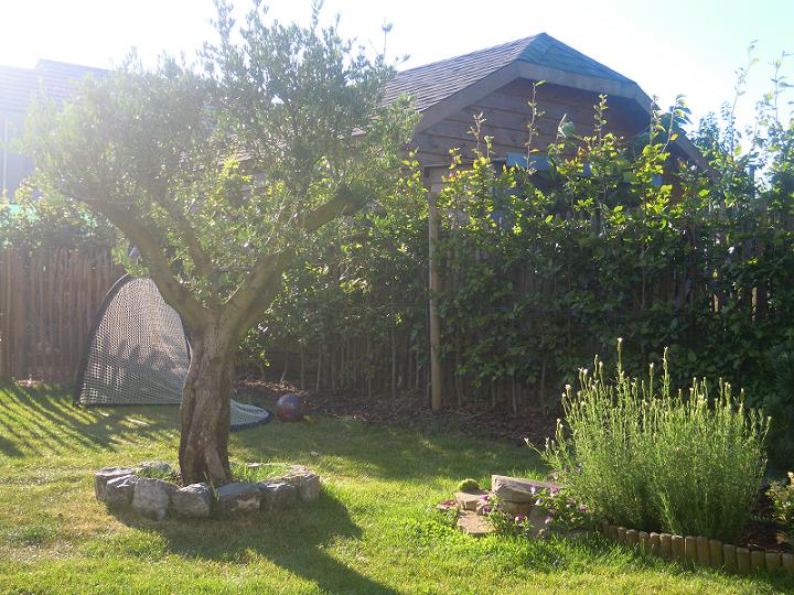 DSCN2716.jpg