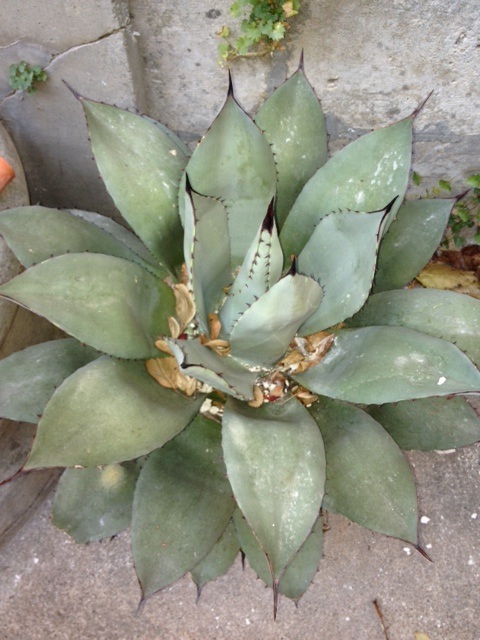 1 :