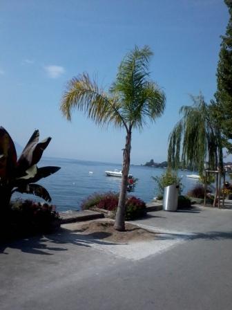 2012-09-09 13.22.06.jpg