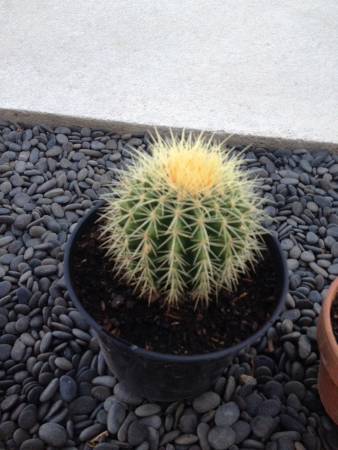 6 :