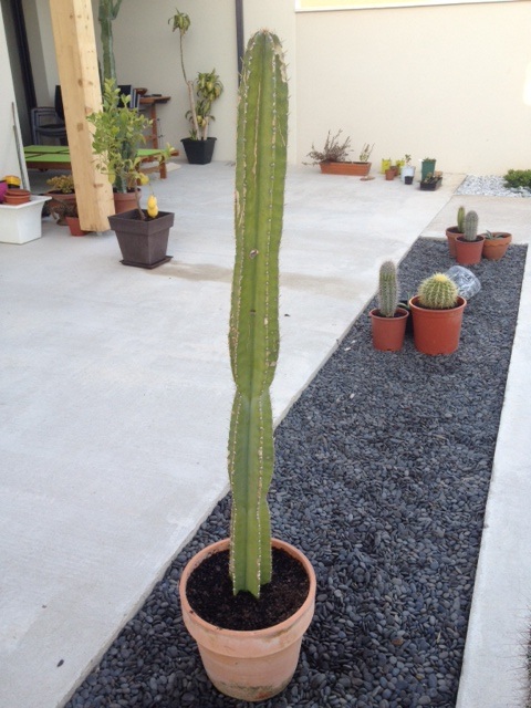 4 :