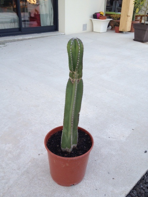 3 :