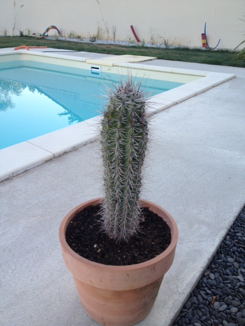 2 :