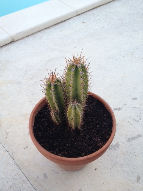 1 :