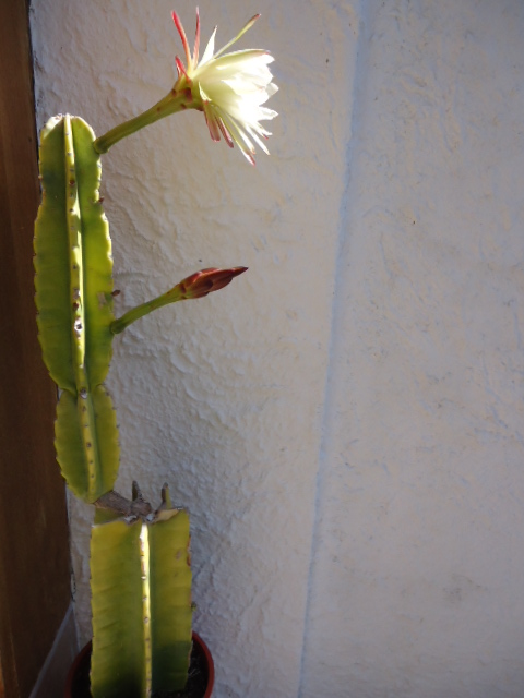 DSC01001.JPG