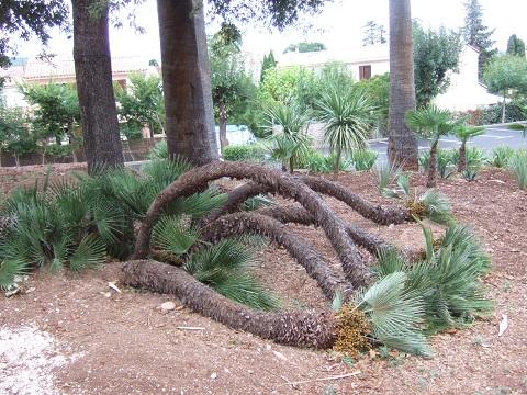 DSCF1053.JPG