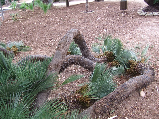 DSCF1055.JPG