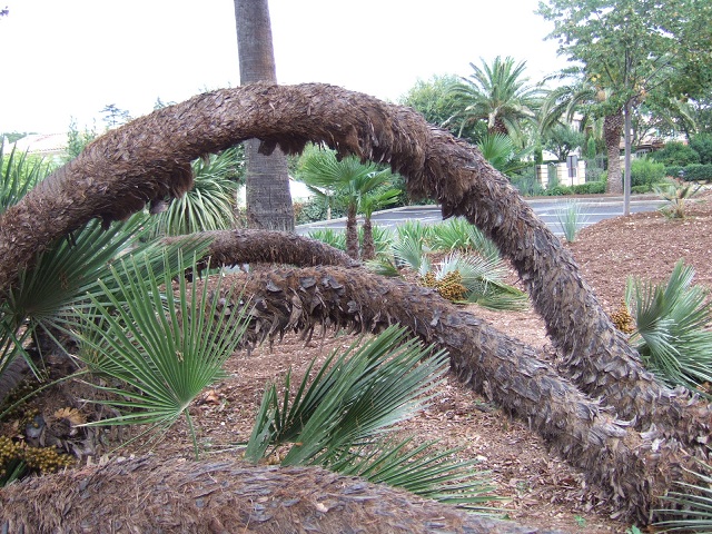 DSCF1056.JPG