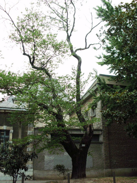 HPIM0974.JPG