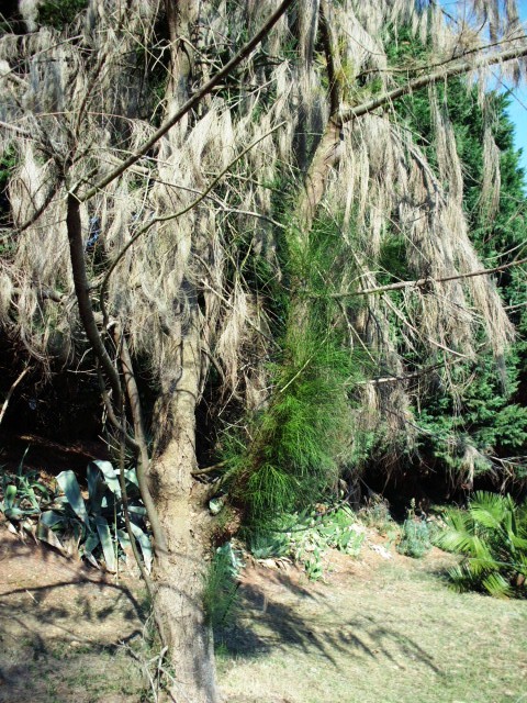 HPIM0952.JPG