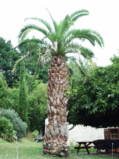 HPIM1030.JPG