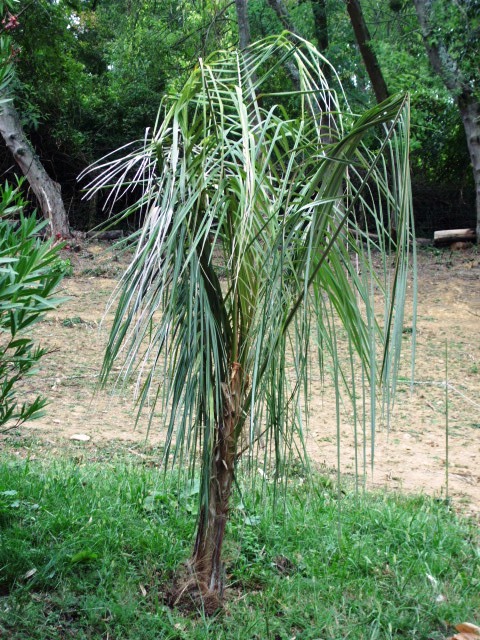 HPIM1031.JPG