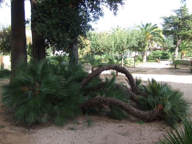 DSCF3325.JPG