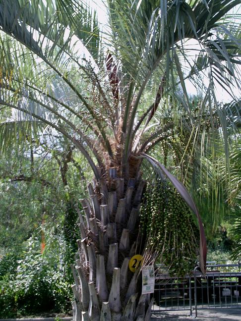 IMAG0142.JPG