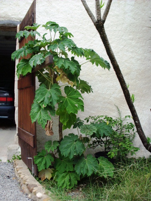 HPIM1034.JPG
