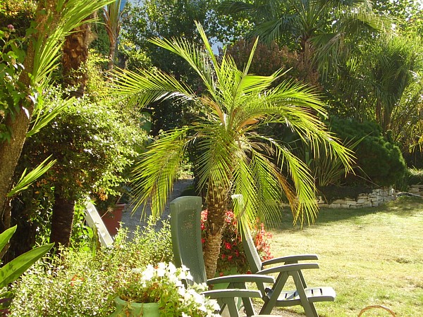 003.20 septembre 2012 (2).JPG