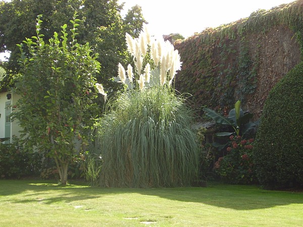 004.06 octobre 2012 (107).JPG