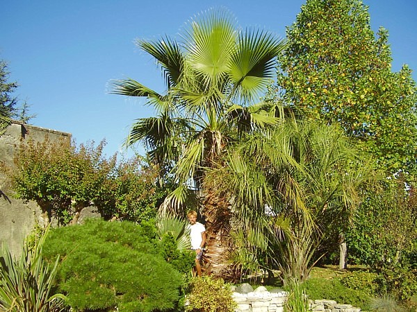 020.05 octobre 2012 (8).JPG