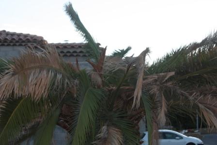 aIMG_2114.jpg