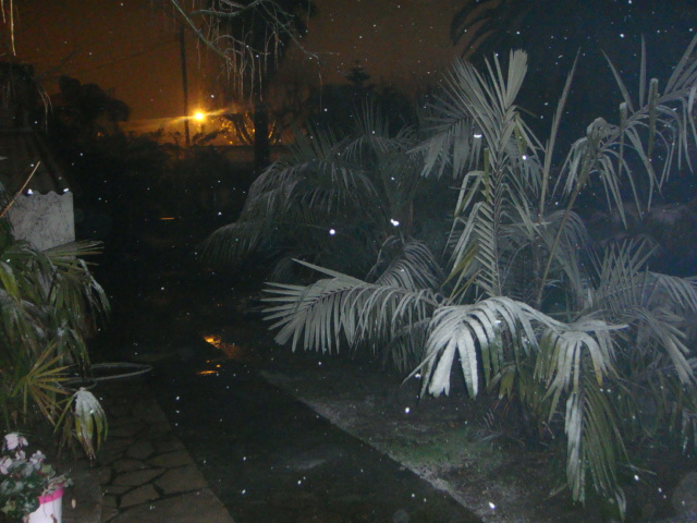 hiver 2012
