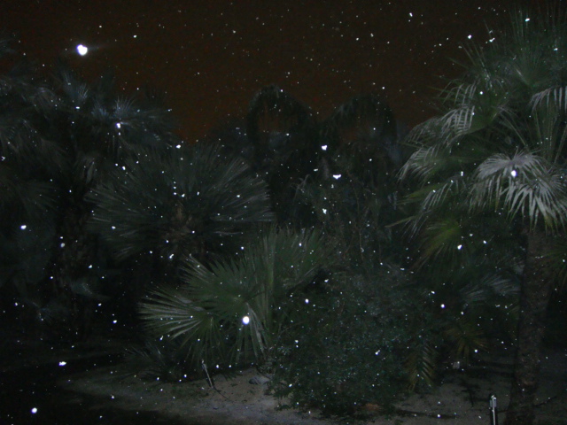 hiver 2012