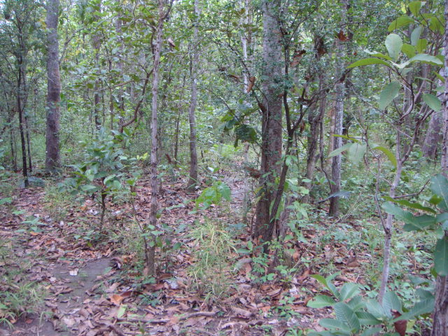 thailande 2012 118.jpg