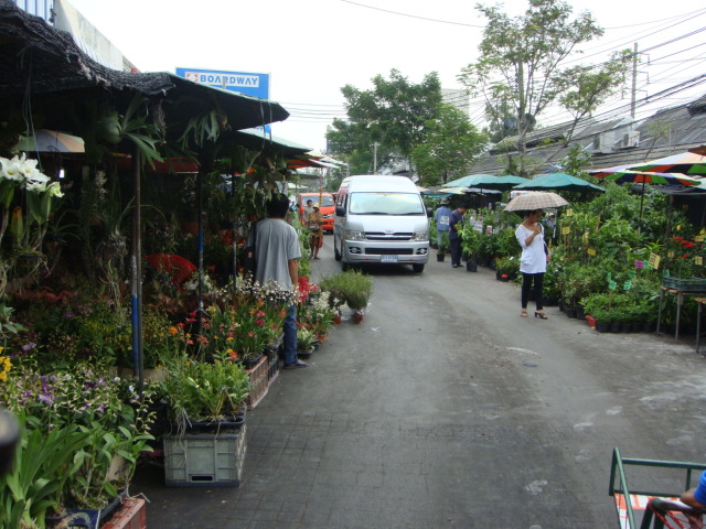 thailande 2010 078.jpg