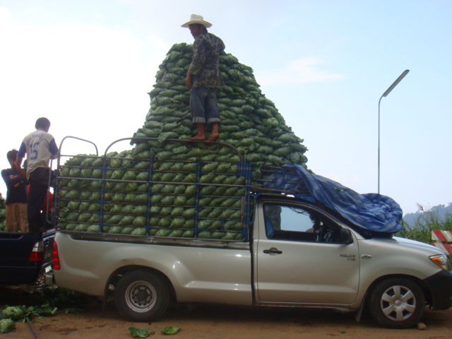 thailande 2012.jpg