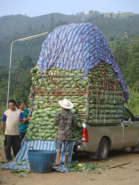 thailande 2012 1.jpg