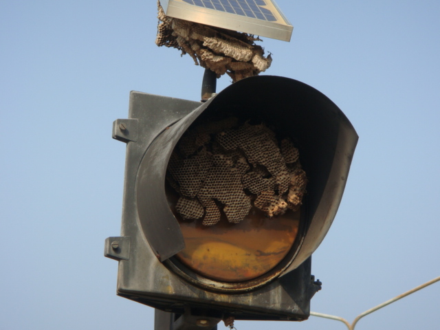 thailande 2012 072.jpg