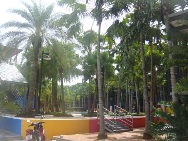 nong nooch 089.jpg
